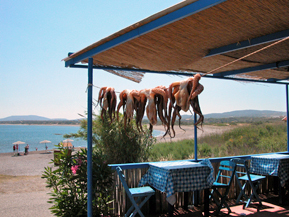 Griechischkurse in Griechenland
